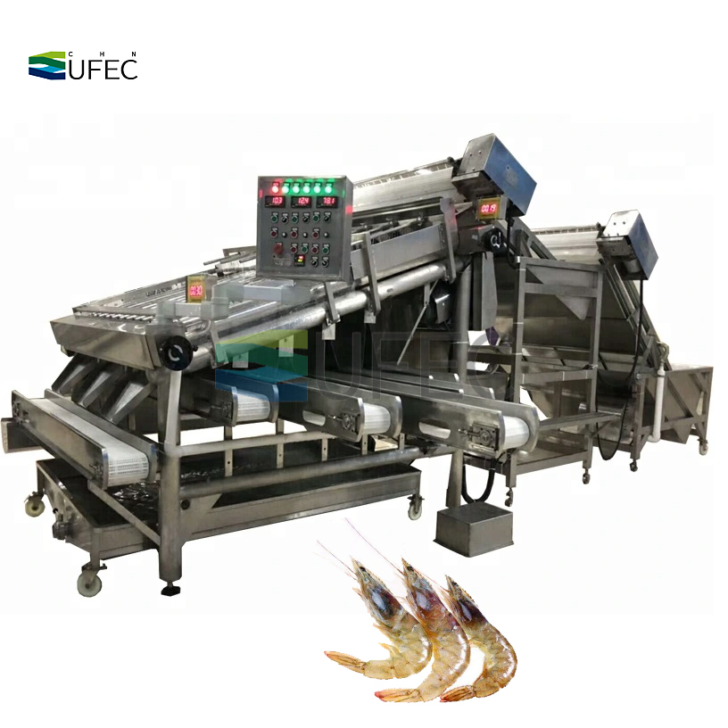 Large Capacity Shrimp Grading Machine High Precision Shrimp Sorting Machine for Seafood Processing