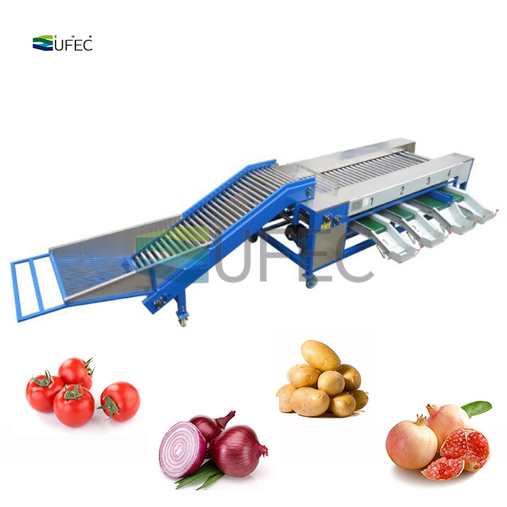 Fruit & Vegetable Size Grader Grading Machine